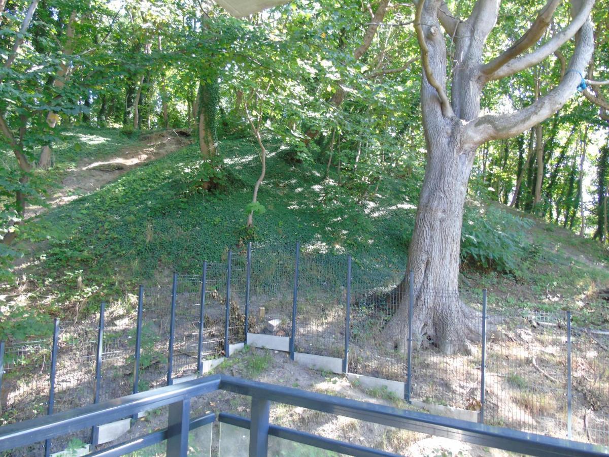 Apartment mit Blick auf den Park - Apartament MARIW MATEJKI 17 z widokiem na park Swinemünde Exterior foto